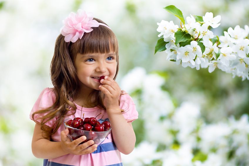 Niña pequeña comiendo cerezas